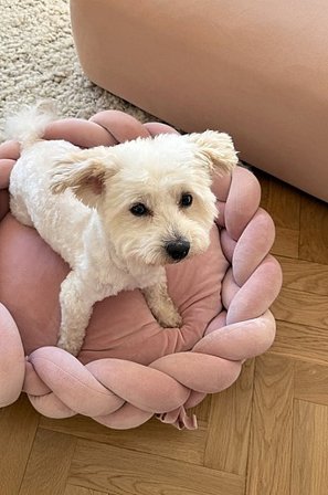 Jotex - Hunde-/katteseng Lyserød - BRADY - Køb Hunde-/katteseng hos Jotex