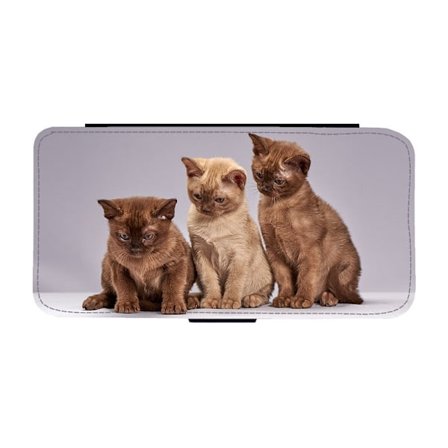 Roliga Katter Samsung Galaxy S24 Flip Mobilfodral