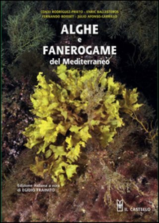 Alghe e fanerogame del Mediterraneo. Ediz. illustrata E. Ballestreros