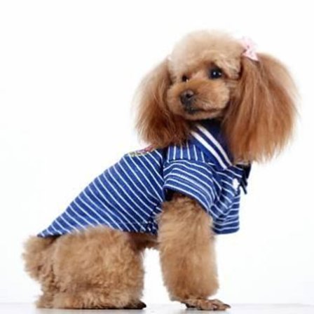 Hundtröja Blå tenniströja med snygg krage Hundkläder