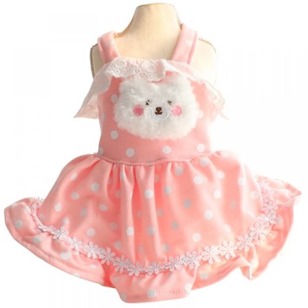 Kjæledyr søt blonder skjørt katt prinsesse skjørt hundeklær høst og vinter klær (M størrelse)