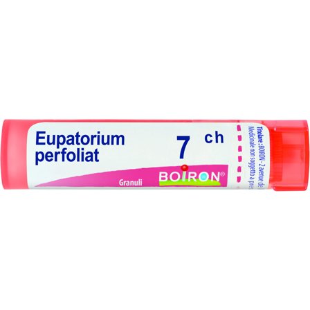 Boiron Eupatorium Perfoliatum 07Ch Tubo 80 Granuli 4g