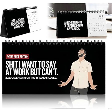 Sh*t Jeg Vil Si På Arbejde 2025 Kalender, 10' x 5' 2025 Sjov Kalender Til Den Trætte Ansatte, Sarkastiske Og Vittige Citater Til Kontoret