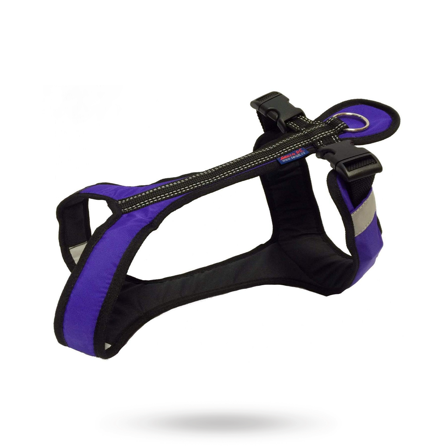 Zero DC - Zero DC Shorter Lila & Svart - Hundsele