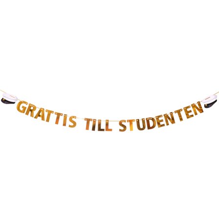 Girlang Grattis Till Studenten 4,5 m