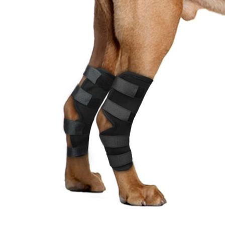 2-pack hundbakbensstöd, för stukningar, bakbensstöd för artrit, stabilitet efter skada, hundstöd (fotled) (M)
