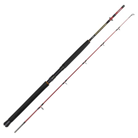 Daiwa Seahunter Spin 7' 2pc 150-300g