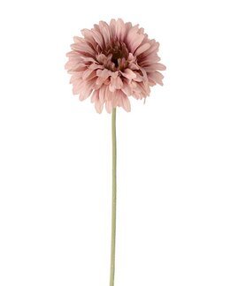 Tekokasvi leikkokukka Gerbera 55 cm 1 kpl Roosa