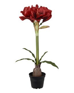 Tekokasvi Amaryllis 50 cm Punainen