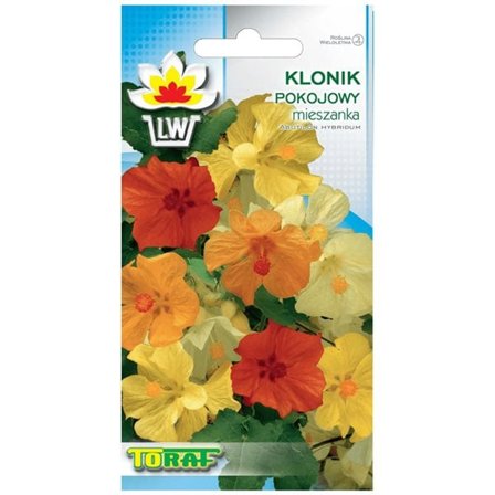 Frö till klockmalva Mix – Färgstark blomning för inomhus och utomhus