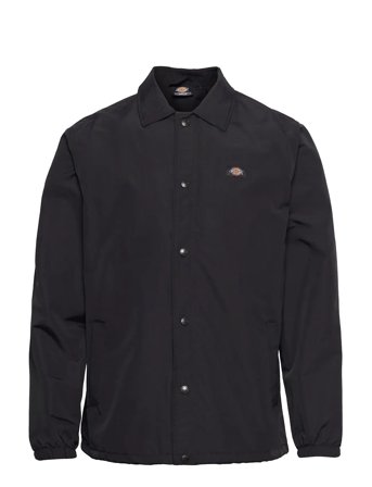 Dickies | Oakport Coach | XS