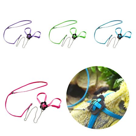 Pet Parrot Bird Outdoor Sele koppel Justerbar Flerfärgad