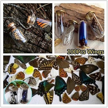 100 stk Ægte Naturlige Sommerfuglevinger DIY Smykker Kunstværk Håndværk