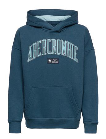 Kids Boys Sweatshirts Blue Abercrombie & Fitch