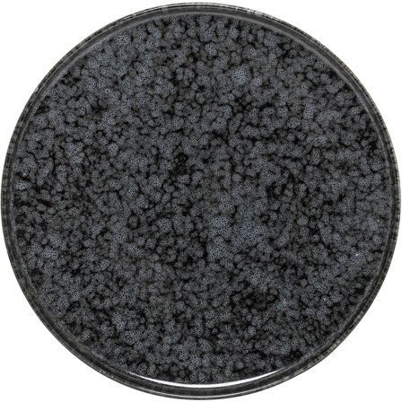 Bloomingville Noir Tallerken Ø18 - Sort | KitchenOne