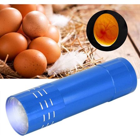 En egg-inkubator-tester, egglys, søkelys, sterkt kaldt