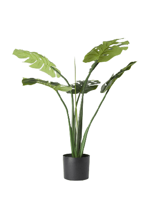 Åhléns Home Konstväxt monstera i kruka Blommor & växter Grön ONESIZE