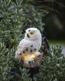 Solcellsdekoration Uggla Beige - Star Trading