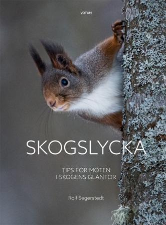 Skogslycka : tips för möten i skogens gläntor - Bok av Rolf Segerstedt - Inbunden