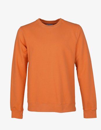Classic Organic Crew - Burned Orange - XL