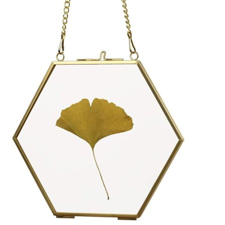 Vægmonteret glasramme til pressede blomster - Glasramme til fotos, kort, plakater, certifikater, 12 cm sekskantet