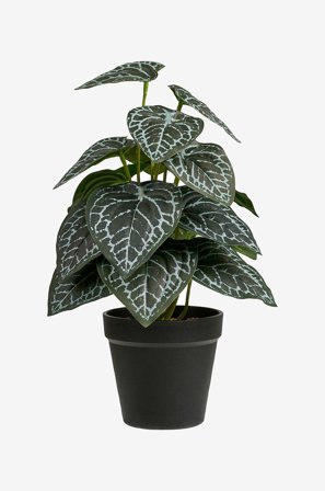 House Nordic - Kasvi, Artificial - Vihreä - Tekokasvit - - Homeroom