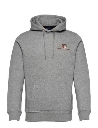 Medium Archive Shield Hoodie Huppari Harmaa GANT