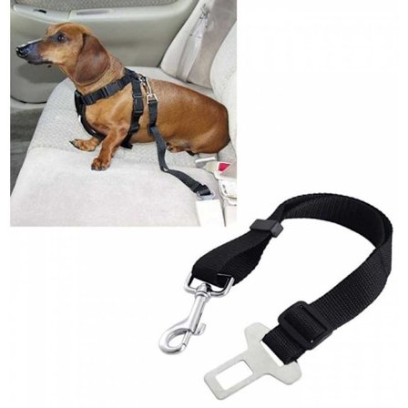 Sikkerhedssele Hund / Kat