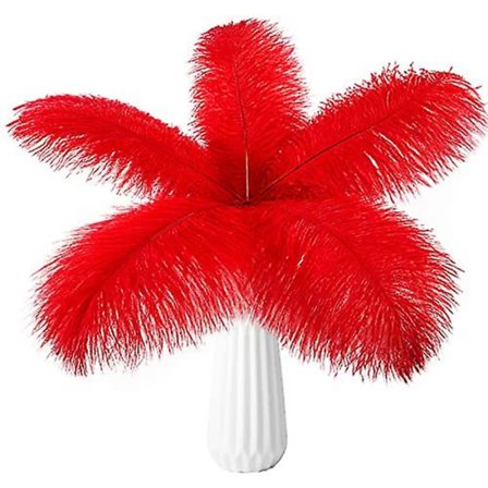 10 st strutsfjädrar naturlig bulk