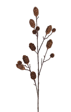 Mr Plant Kunstig Konglekvist H100