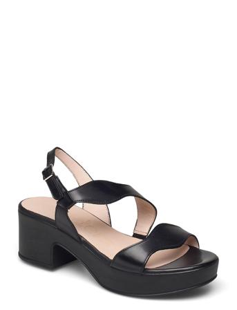 D-8813-P Pergamena Black Wonders