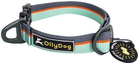 OllyDog Flagstaff Collar Surf