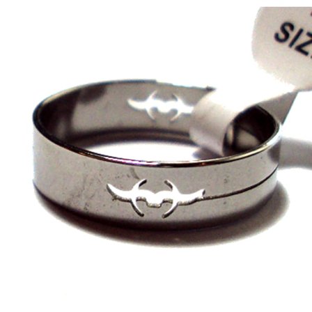 Rostfritt stål ring