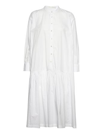Rosa White Rabens Sal R