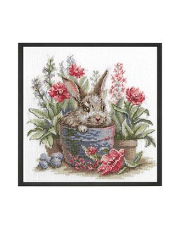 Broderipakke Bilde Kanin i blomsterpotta - Riolis