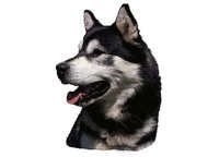 Alaskan malamute - klistremerker