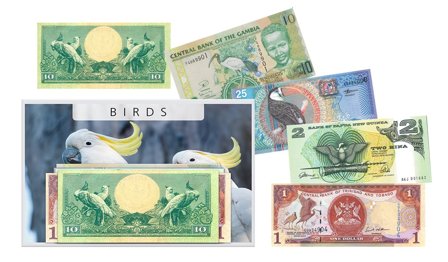 Fugle II - 5 pengesedler