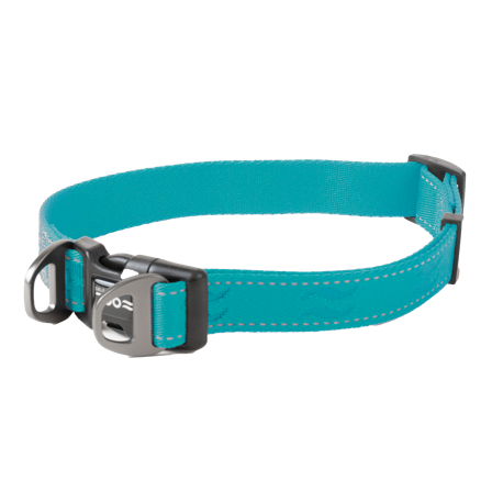Selected by ZOO - Hundehalsbånd Rufus justerbart, 25mmx38-66cm, Turkis - Hund - Halsbånd - ZOO.no