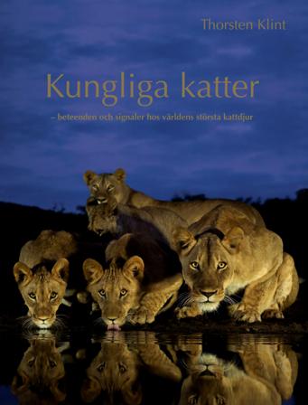 Kungliga katter : beteenden och signaler hos världens största kattdjur - Bok av Thorsten Klint - Inbunden