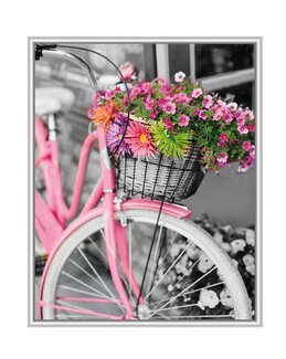 Paint by numbers Rosa Fahrrad