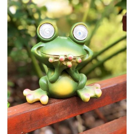 Solcells drivna djurlampor för påsk utomhus, Sanno söta fr