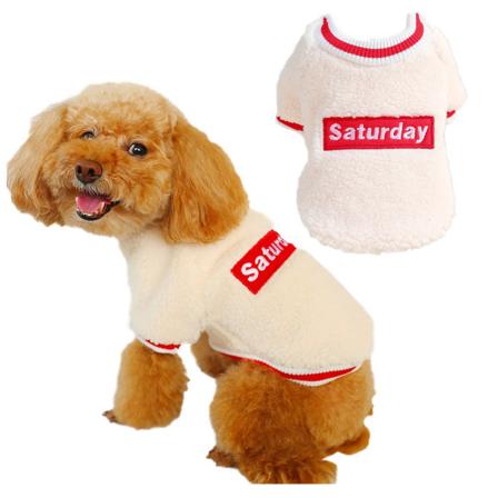 Hund Katt Kläder Vår lammull rundhalsad tröja Beige XS