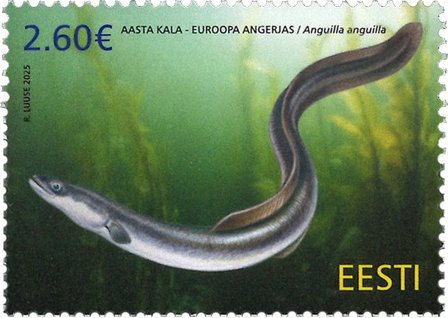 Estland - Ål - Postfrisk frimærke