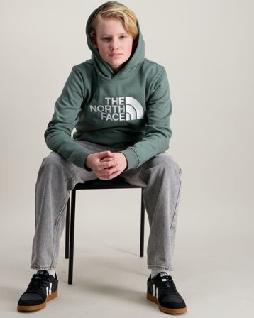 The North Face B DREW PEAK P/O HOODIE Groen Hoodies Jongens - Kids Brand Store