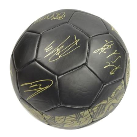 Manchester City Fc Phantom Signature Fotboll I Konstläder 5 Bl