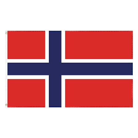 90*150cm Norsk flag 3*5ft polyester flag hjem