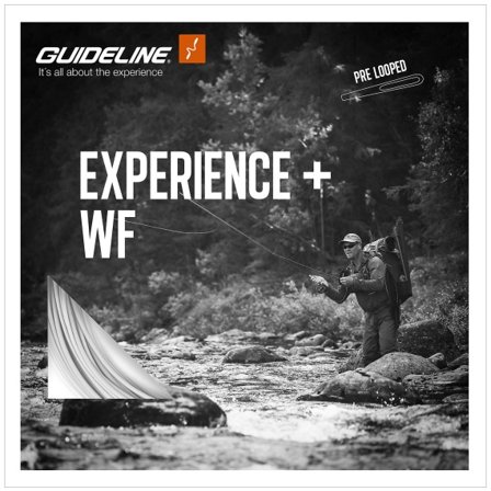 Guideline Experience+ WF Flyt - #7