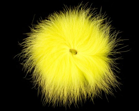 Arctic Fox - Fluo Yellow