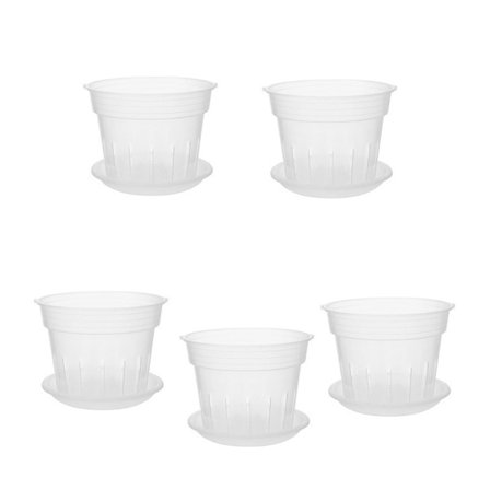 Orkideakasvi Ruukku 4" Kirkas Muovi Ruukku Reikillä