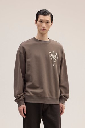 NN07 David male Brown